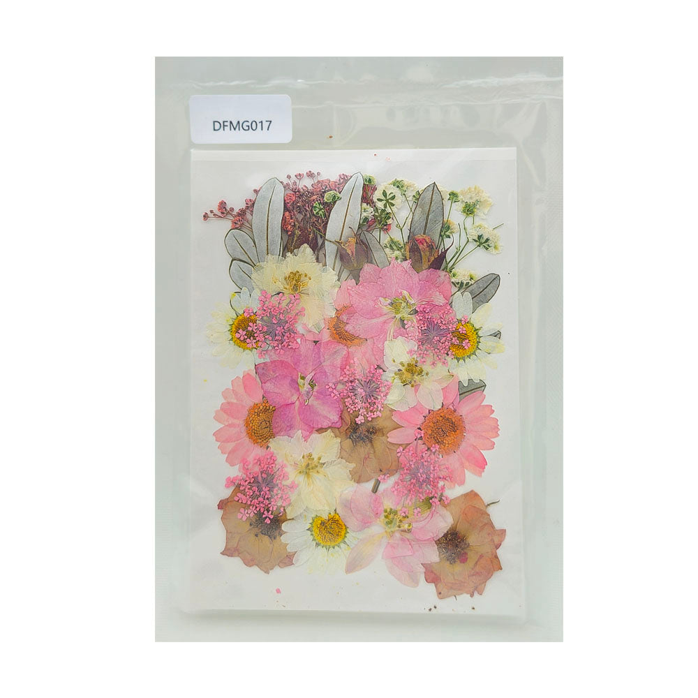Gift To Love | Dry Flower Sheet | Code : DFMG017