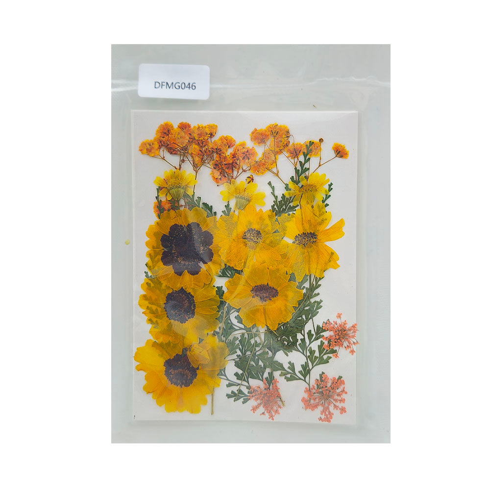 Gift To Love | Dry Flower Sheet | Code : DFMG046
