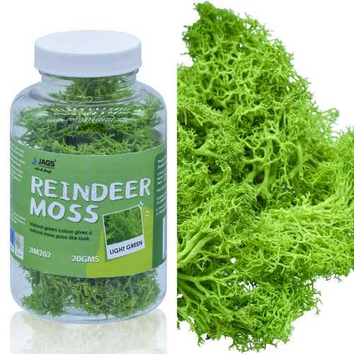 Gift To Love | Jags Reindeer Moss 20 Grms Ligth Greeen | Code : JIM202