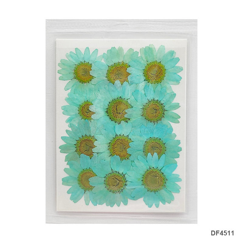 Dry Flower Sheet