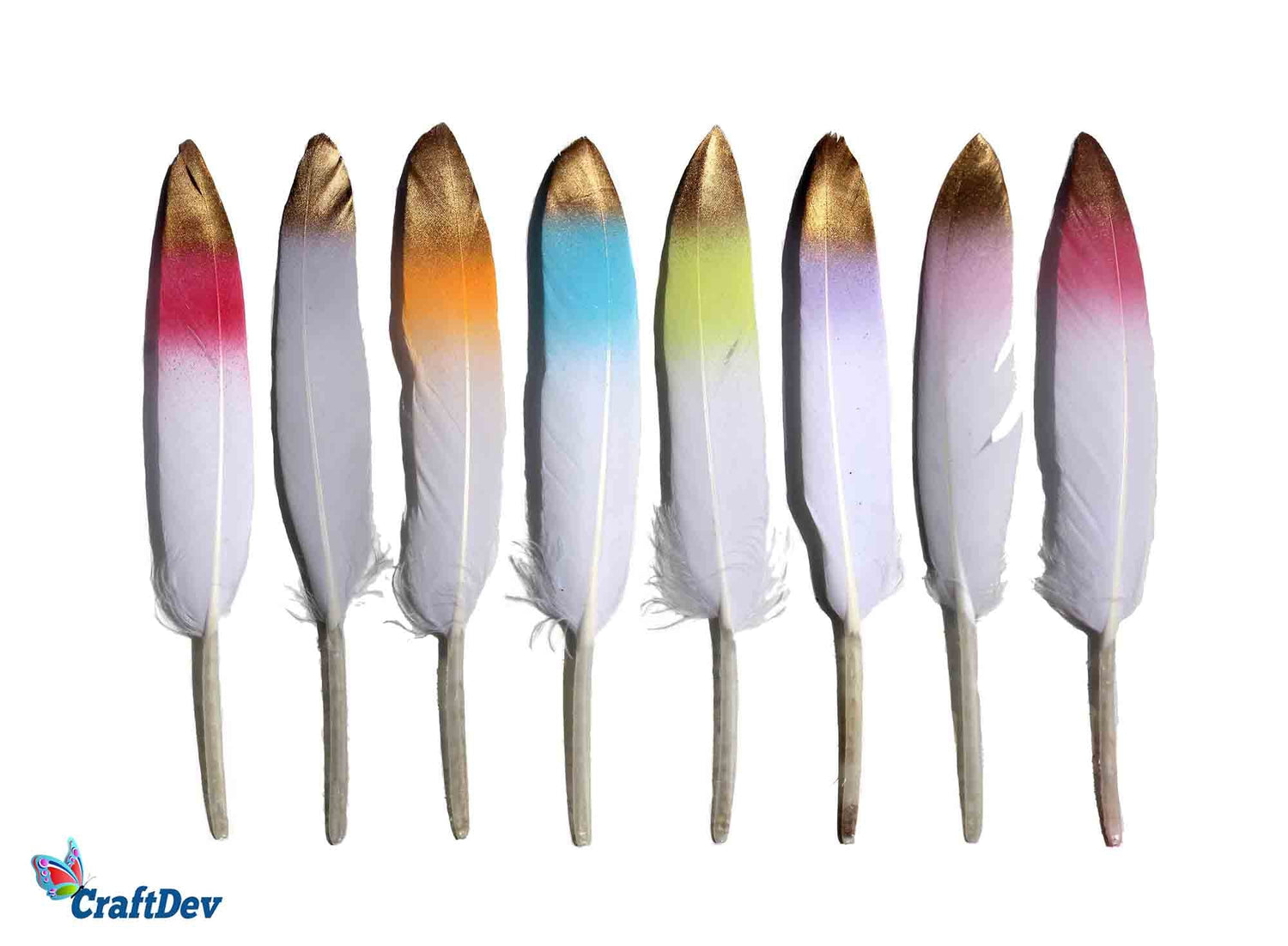 Feathers