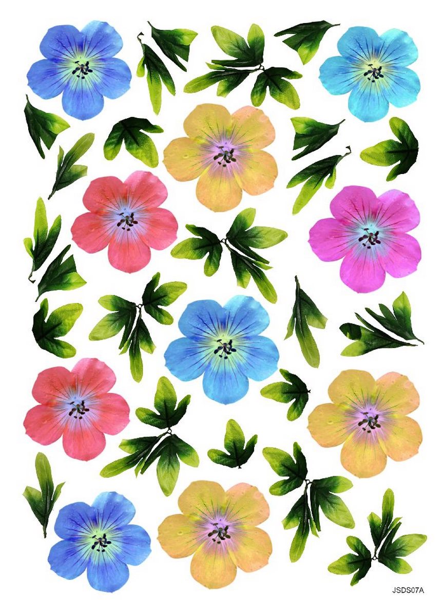 Transparent Sheet Printed