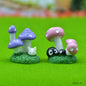 Gift To Love | Miniature Model Mushroom Plant | Pcs : 2 Pcs | Code : C0034-B
