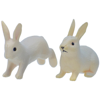 Gift To Love | Miniature Rabbit | Pcs : 2 Pcs | Code : C0834-A