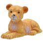 Gift To Love | Lions | Code : C1531-6