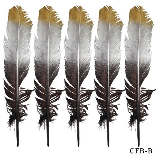 Gift To Love | Feather Artificial Big | Color : Colour & Gold Silver | Pcs : 5 Pcs | Code : CFB-B