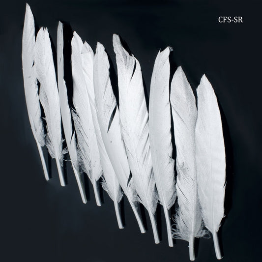 Gift To Love | Feather Artificial Small | Color : Silver | Pcs : 10 Pcs | Code : CFS-SR