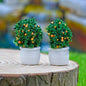 Gift To Love | Artificial Miniature Fruit Pot 2 Pcs | Code : CT010-TT