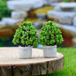 Gift To Love | Artificial Miniature Flower Pot Green 2 Pcs | Code : CT022-GN