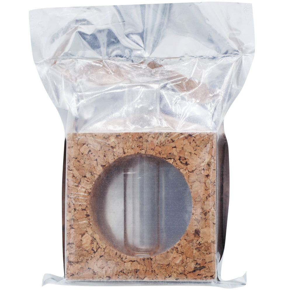 गिफ्ट टू लव | कॉर्क टेस्ट ट्यूब प्लांटर स्क्वेयर | कोड : CTTP00