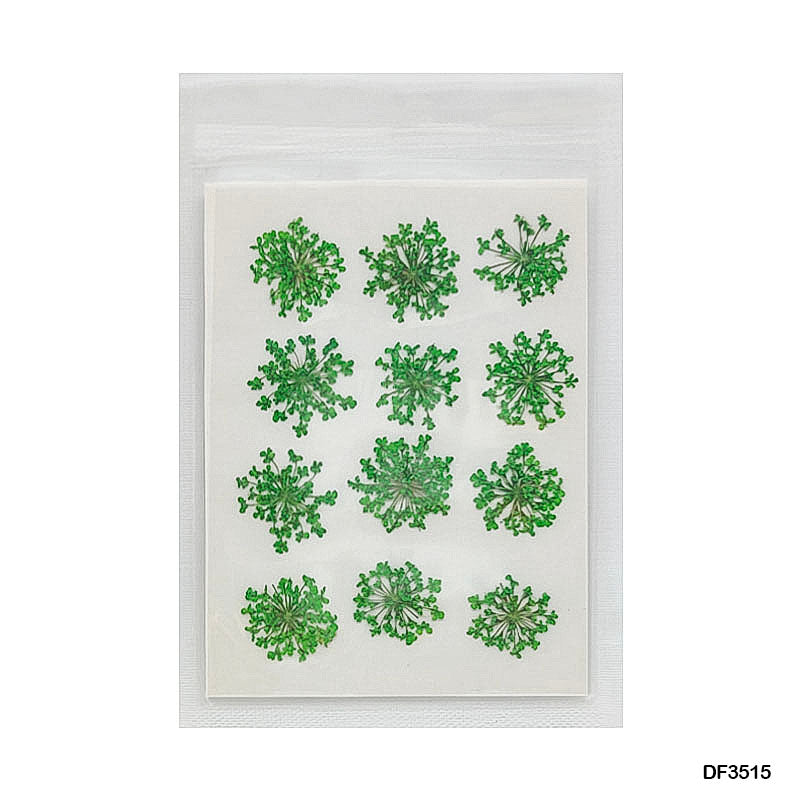 Gift To Love | Dry Flower Sheet | Pcs : 12 Sheets | Code : DF3515