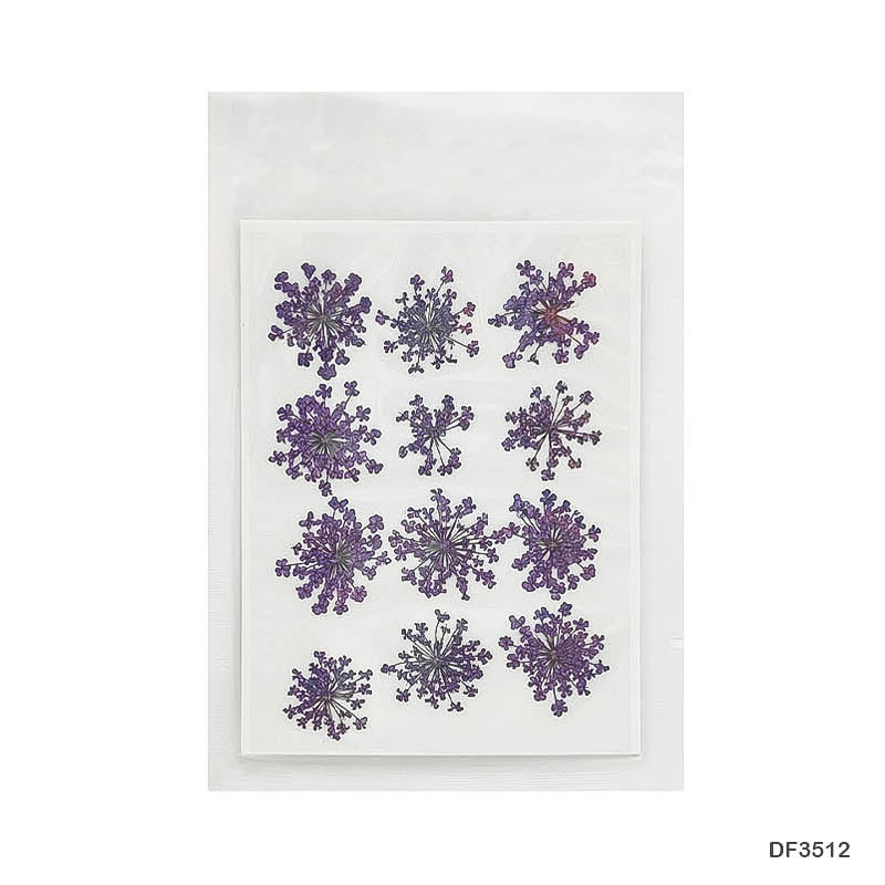 Gift To Love | Dry Flower Sheet | Pcs : 12 | Code : DF356