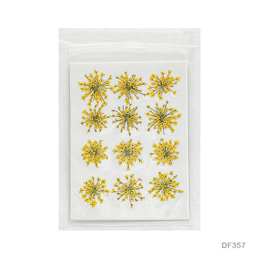Gift To Love | Dry Flower Sheet | Pcs : 12 Pcs | Code : DF357