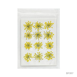Gift To Love | Dry Flower Sheet | Pcs : 12 | Code : DF359