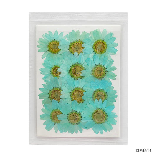 Gift To Love | Dry Flower Sheet | Pcs : 12 Sheets | Code : DF4511