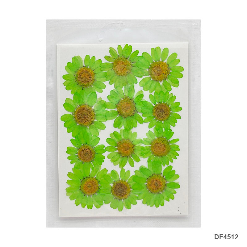Gift To Love | Dry Flower Sheet | Pcs : 12 Pcs | Code : DF4512