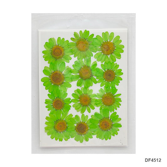 Gift To Love | Dry Flower Sheet | Pcs : 12 Pcs | Code : DF4512