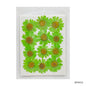 Gift To Love | Dry Flower Sheet | Pcs : 12 Pcs | Code : DF4512