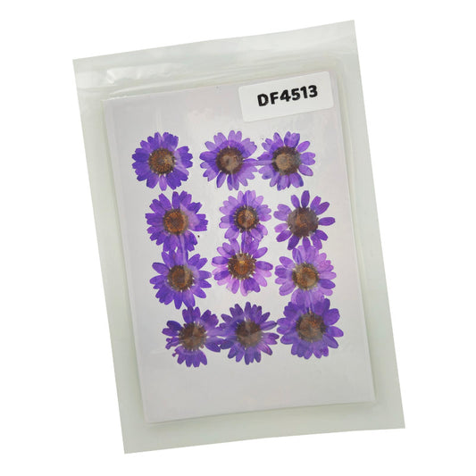 Gift To Love | Dry Flower Sheet | Pcs : 12 Flower Sheet | Code : DF4513
