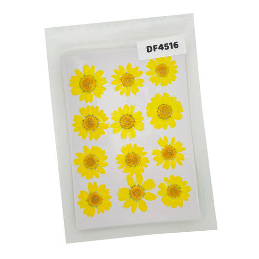 Gift To Love | Dry Flower Sheet | Pcs : 12 Pcs | Code : DF4516