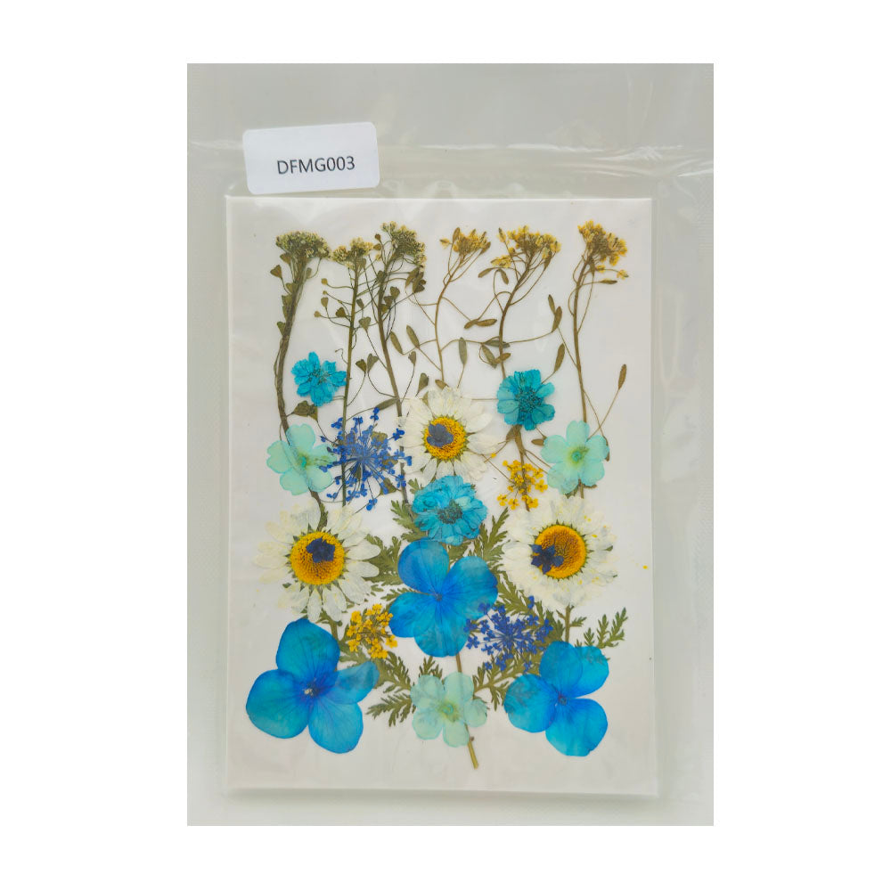 Gift To Love | Dry Flower Sheet | Code : DFMG003