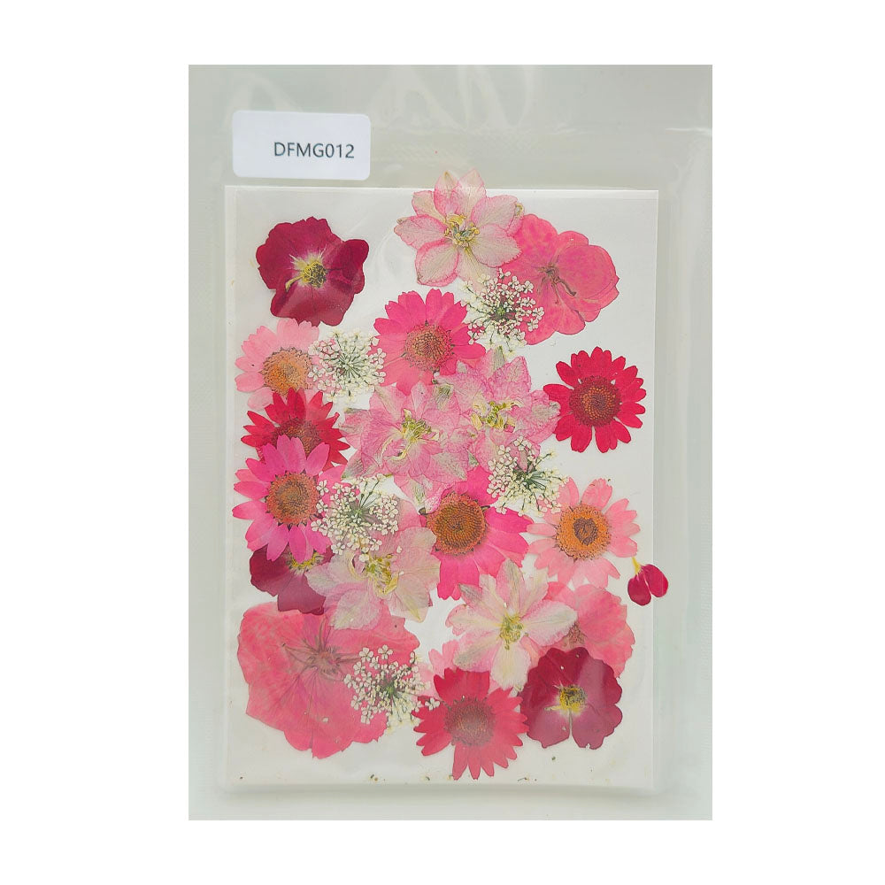 Gift To Love | Dry Flower Sheet | Code : DFMG012