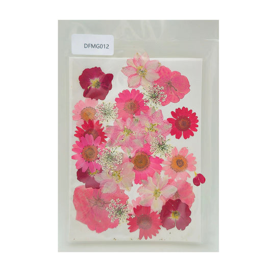 Gift To Love | Dry Flower Sheet | Code : DFMG012