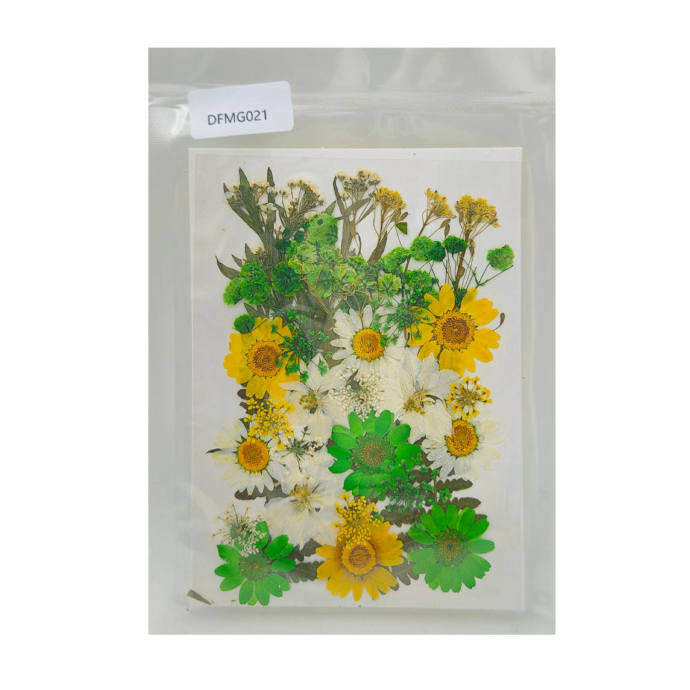Gift To Love | Dry Flower Sheet | Code : DFMG021