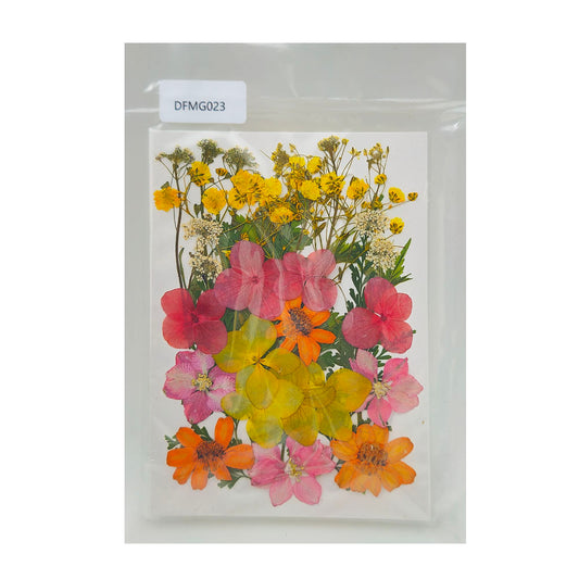 Gift To Love | Dry Flower Sheet | Code : DFMG023