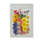 Gift To Love | Dry Flower Sheet | Code : DFMG032
