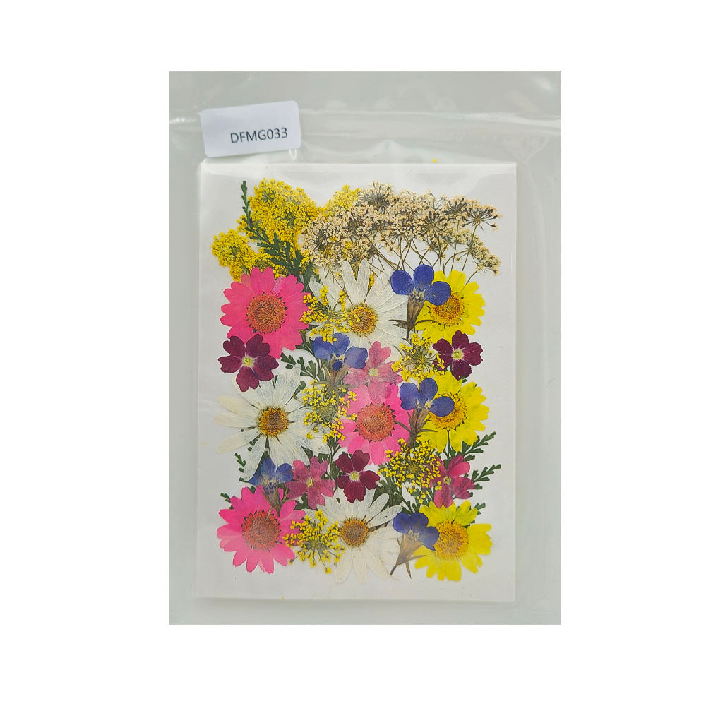 Gift To Love | Dry Flower Sheet | Code : DFMG033