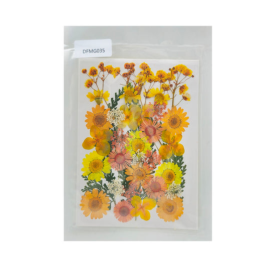 Gift To Love | Dry Flower Sheet | Code : DFMG035