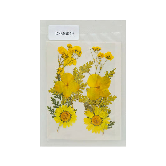 Gift To Love | Dry Flower Sheet | Code : DFMG049