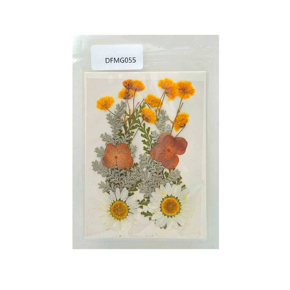 Gift To Love | Dry Flower Sheet | Code : DFMG055