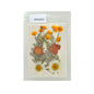 Gift To Love | Dry Flower Sheet | Code : DFMG055