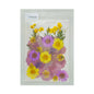 Gift To Love | Dry Flower Sheet | Code : DFMG056
