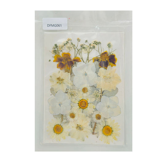 Gift To Love | Dry Flower Sheet | Code : DFMG061