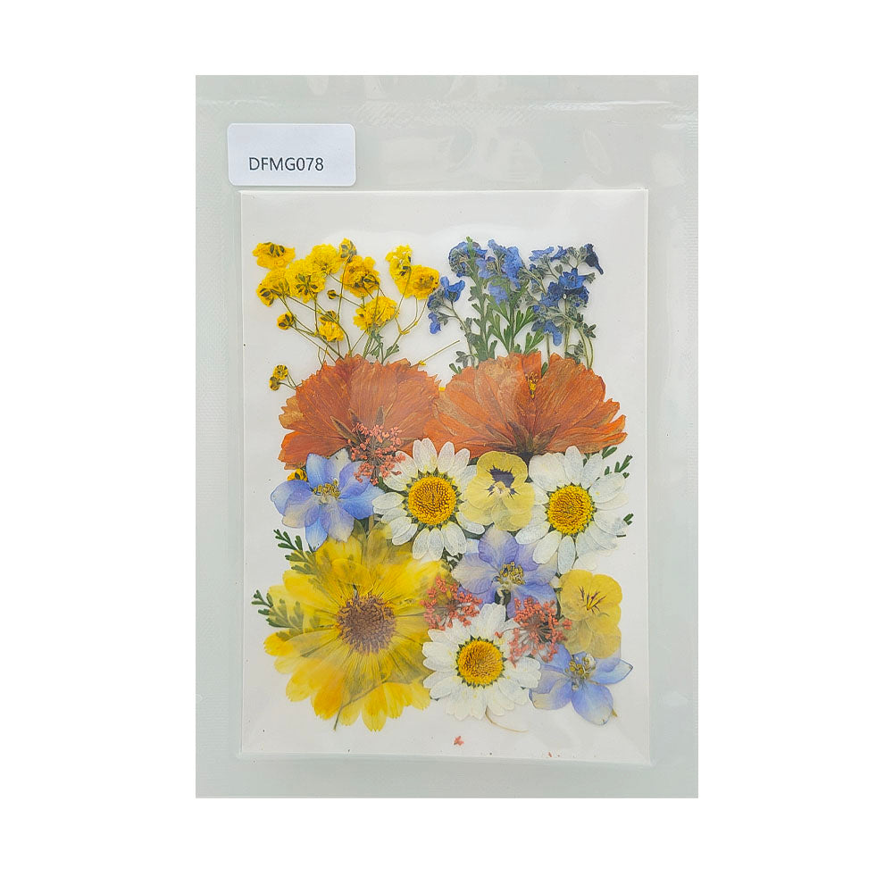 Gift To Love | Dry Flower Sheet | Code : DFMG078