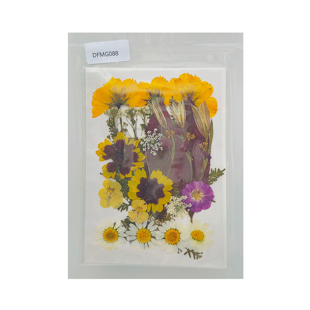 Gift To Love | Dry Flower Sheet | Code : DFMG088