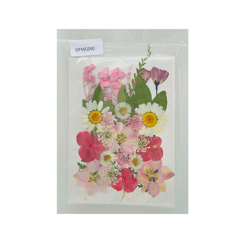 Gift To Love | Dry Flower Sheet | Code : DFMG090