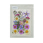 Gift To Love | Dry Flower Sheet | Code : DFMG091