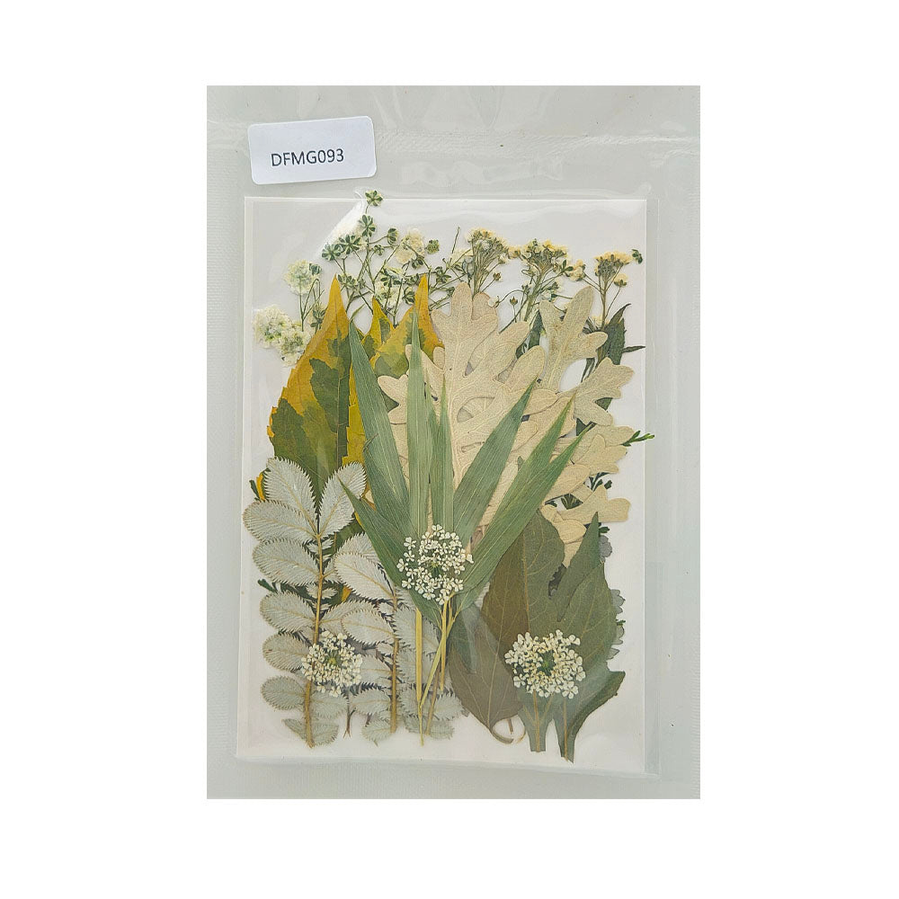 Gift To Love | Dry Flower Sheet | Code : DFMG093