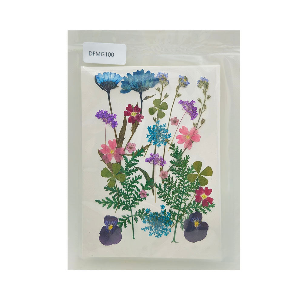 Gift To Love | Dry Flower Sheet | Code : DFMG100