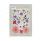 Gift To Love | Dry Flower Sheet | Code : DFMG102