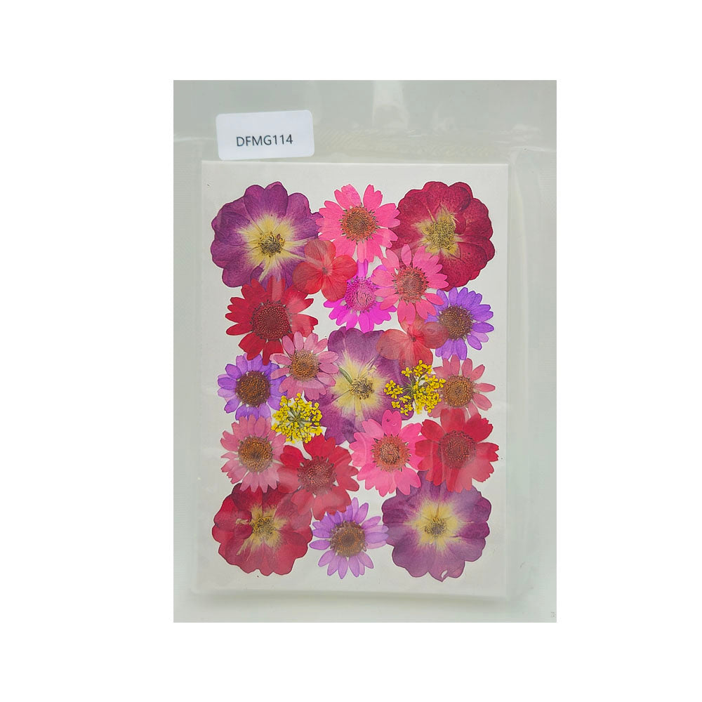Gift To Love | Dry Flower Sheet | Code : DFMG114