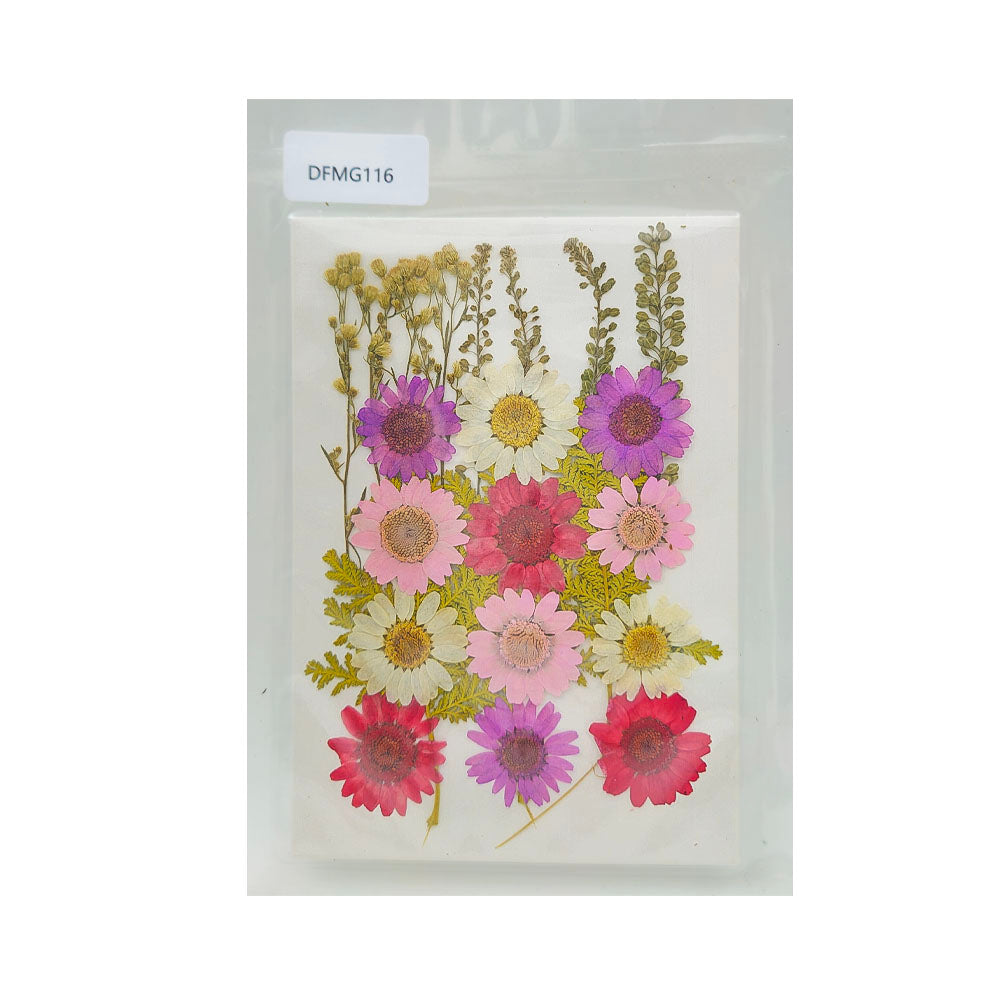 Gift To Love | Dry Flower Sheet | Code : DFMG116