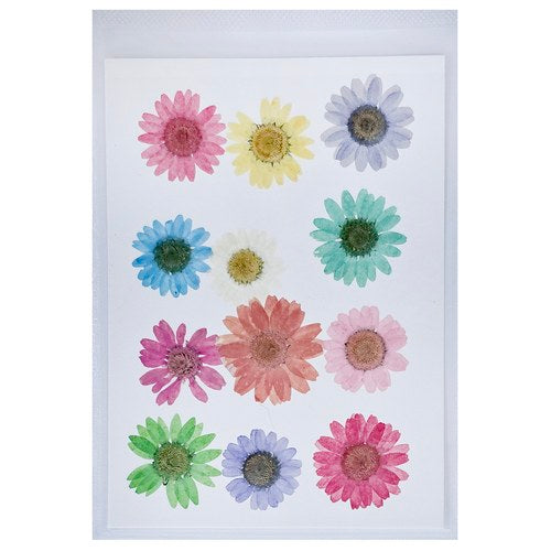 Gift To Love | Dried Flower Press | Code : DFPN17