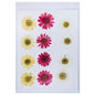 Gift To Love | Dried Flower Press | Code : DFPN18