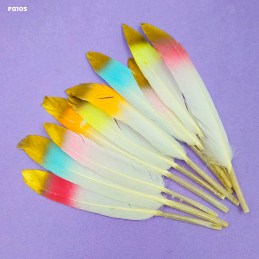 Gift To Love | Feather Shaded Glittered | Color : Multicolor | Pcs : 10 Pcs | Code : FG10S