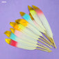 Gift To Love | Feather Shaded Glittered | Color : Multicolor | Pcs : 10 Pcs | Code : FG10S